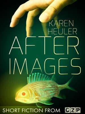 cover image of After Images